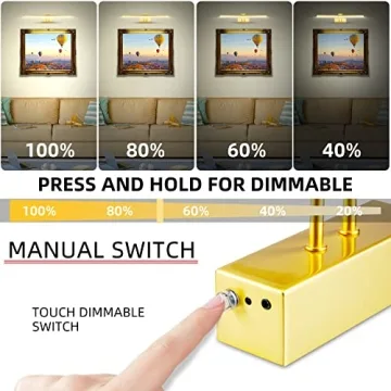 RAIFOOLLY Rechargeable Picture Light for Artwork Display