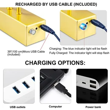 RAIFOOLLY Rechargeable Picture Light for Artwork Display