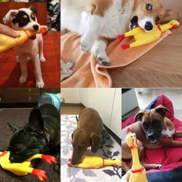 POPLAY Rubber Chicken - Fun Prank Toy for All Ages