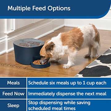 PetSafe 6 Meal Automatic Cat Feeder - Programmable Pet Food Dispenser for Cats and Small Dogs - Dry Kibble or Semi-Moist Pet Food, Slow Feed Portion Control, Tamper-Resistant