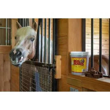 Handmade Stud Muffins Horse Treats - Healthy & Tasty