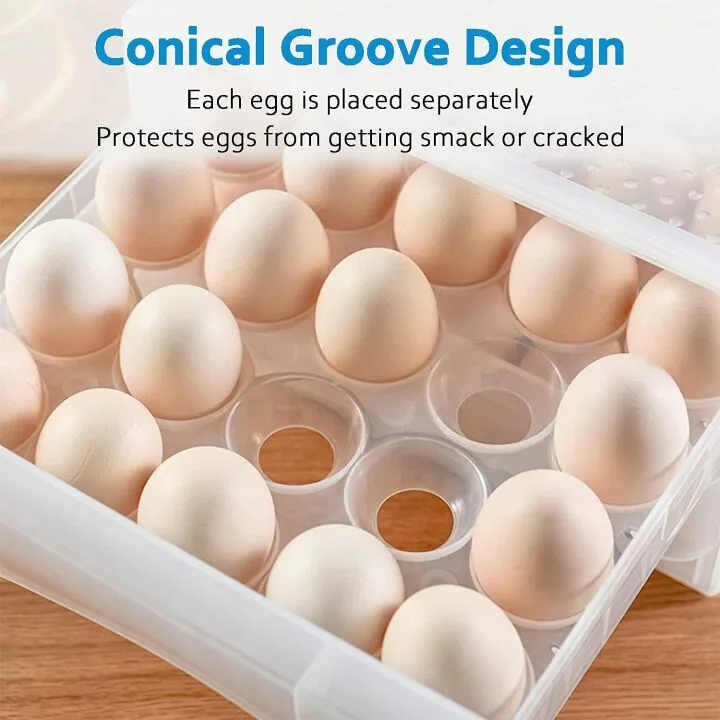 Egg Holder for Refrigerator - 60 Grid Organizer