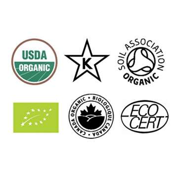 King Soba 6-PACK Gluten Free, Organic Brown Rice Ramen Noodles - 4 noodle cakes in each package