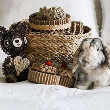 WOODMARK Anti baBarking Box with Safety Seat Belt Strap