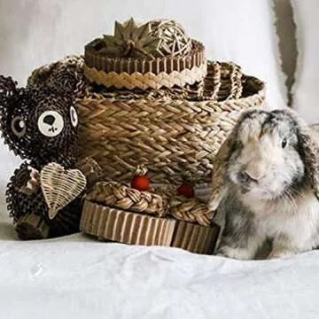 WOODMARK Anti baBarking Box with Safety Seat Belt Strap