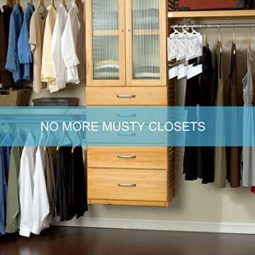 ZSZMFH 6 Pack Moisture Absorber & Max Odor Eliminator Hanging Bag, Charcoal Smell Remove Damp Musty Smell,Hanging Closet Dehumidifier Bags with 25g of Activated Charcoal (220g/pack)…