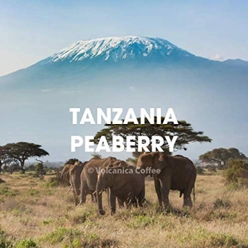 Tanzanian Peaberry Coffee from Mount Kilimanjaro Fresh Roasted