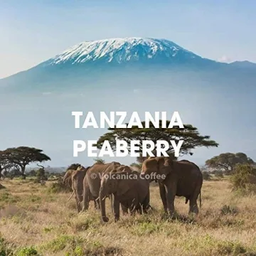 Tanzanian Peaberry Coffee from Mount Kilimanjaro Fresh Roasted