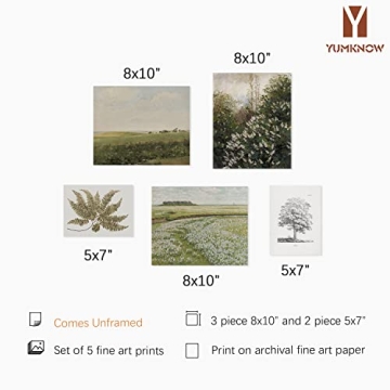 Vintage Farmhouse Wall Decor - 5 Unframed Botanical Prints