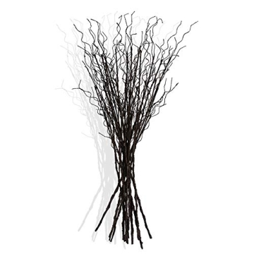 FLOERVE 12 Pcs Artificial Curly Willow Branches for Home Decor and DIY Crafts