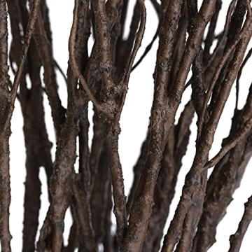 FLOERVE 12 Pcs Curly Willow Branches for Decor