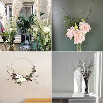 FLOERVE 12 Pcs Curly Willow Branches for Decor