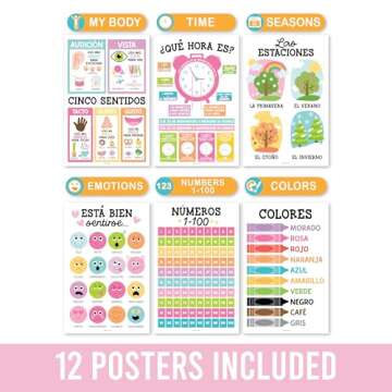 Hadley Designs Spanish Classroom Posters for Kids