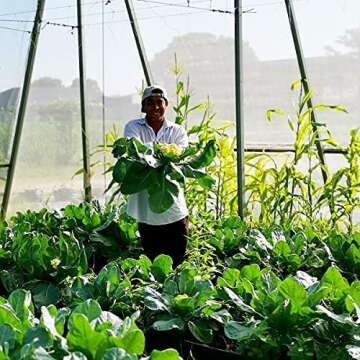 UV-Resistant Garden Insect Netting for Vegetable Protection