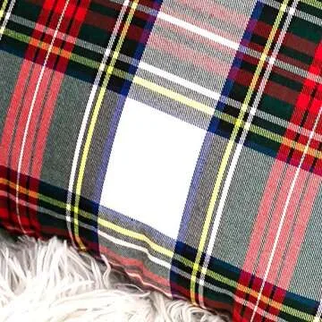 GTEXT 2 Pack Christmas White Plaid Pillow Covers 20x20