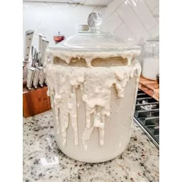 Beginner Friendly Dehydrated Sourdough Starter