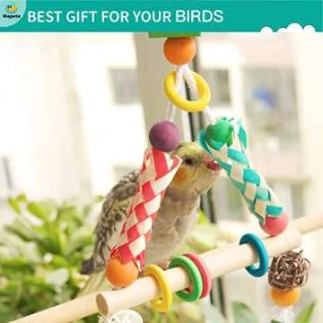 Wepets 5 PCS Natural Shreddable and Chewable Colorful Bird Toy,Provides Exercise and Entertainment for Parakeets, Suitable for Budgies, Cockatiels, Lovebirds, Parrotlets, and Conures.