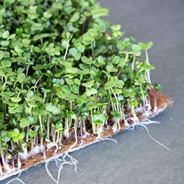 Pro Micro Jute Microgreens Grow Mats for Hydroponic Gardening