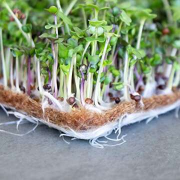 Pro Micro Jute Microgreens Grow Mats for Hydroponic Gardening