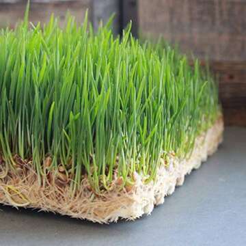 Pro Micro Jute Microgreens Grow Mats for Hydroponic Gardening