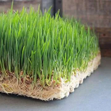 Pro Micro Jute Microgreens Grow Mats for Hydroponic Gardening