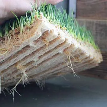 Pro Micro Jute Microgreens Grow Mats for Hydroponic Gardening