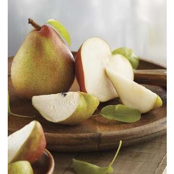 Harry & David Signature Pear, Nut, And Cheese Gift Basket - Deluxe, Deluxe Cheese Basket, Gift Baske...