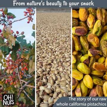 Natural Raw Pistachios No Shell for Healthy Snacking