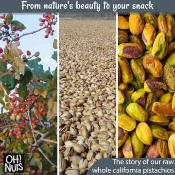 Natural Raw Pistachios No Shell for Healthy Snacking
