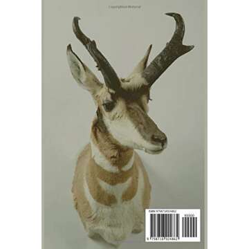 Exploring Taxidermy Illustrated Historical Guide