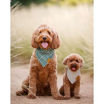 Remy+Roo Large Spring Dog Bandanas - 4 Pack Logan Set | Premium Durable Adjustable Polyester Fabric ...