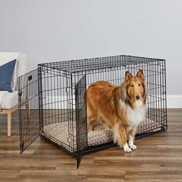 MidWest Homes for Pets Enhanced Double Door iCrate Dog Crate – Safety & Comfort Combined