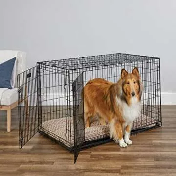 MidWest Homes for Pets Enhanced Double Door iCrate Dog Crate – Safety & Comfort Combined