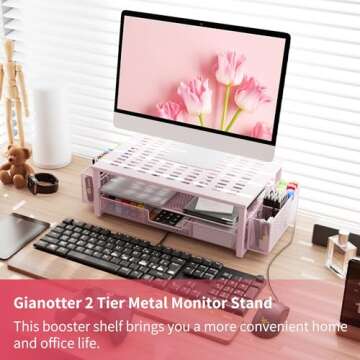 Gianotter Pink Monitor Stand with Drawer and Pen Holder