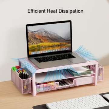 Gianotter Pink Monitor Stand with Drawer and Pen Holder
