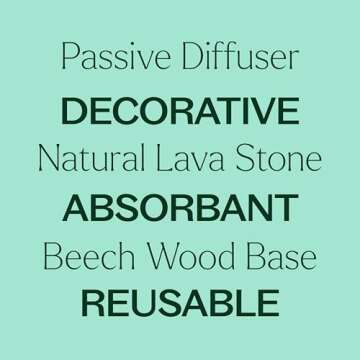 Plant Therapy Lava Rock Passive Diffuser for Essential Oils Great for Decorating at Home, Office or Car, and Gift-Giving