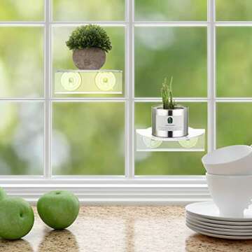 BBTO Acrylic Plant Window Shelf - Create Your Indoor Garden