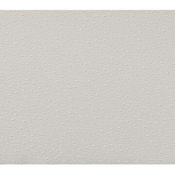 TOV Furniture The Baxter Collection Modern Style Living Room Den Ostrich Print Eco-Leather Upholstered Armchair with Gold Frame, White