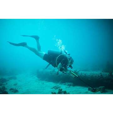 Minelab Excalibur II Waterproof Deep Dive Metal Detector for Adults with Slimline 10" Coil (Waterproof Headphones Included)