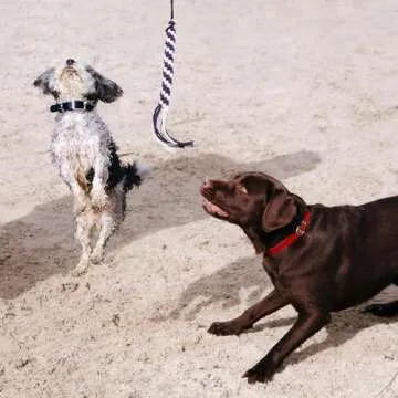 POPETPOP Flirt Pole for Dogs Interactive Dog Toys - Extendable Teaser Wand Outside Interactive Fun T...