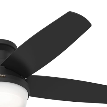 Hunter 48' Black Ceiling Fan with LED Light Remote