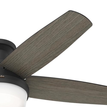 Hunter 48' Black Ceiling Fan with LED Light Remote