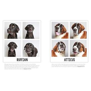 Charming Shelter Dogs in a Heartwarming Photo Collection