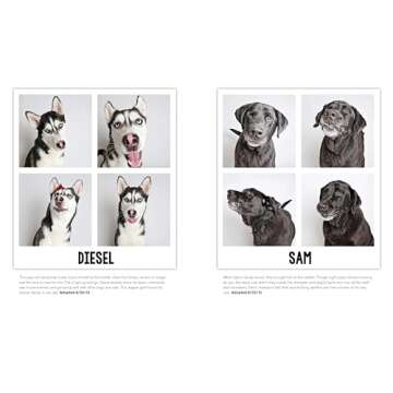 Charming Shelter Dogs in a Heartwarming Photo Collection