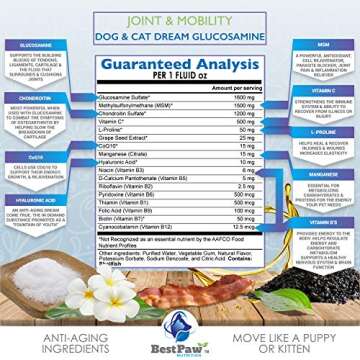 Best Paw Nutrition - Bacon Flavor Liquid Glucosamine for Dogs & Cats - Joint Supplement for Hip & Joint Pain Relief Pets Love - 32oz