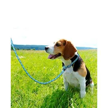 TagME Slip Leads for Dogs, 6 FT Heavy Duty Dog Leash with Padded Handle, Strong Rope No Pull Pet Training Leash for Medium Dogs,Blue