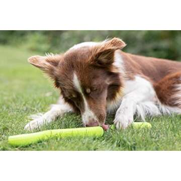 Trixie Snack Snake Dog Puzzle Toy for Dogs, Dog Enrichment Toy, Interactive Chew Toy, Treat Dispenser, 16.5" (42cm)