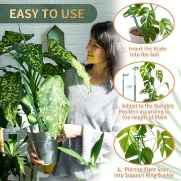 Telescoping Plant Stakes for Monstera and Orchids