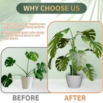 Telescoping Plant Stakes for Monstera and Orchids