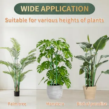 Telescoping Plant Stakes for Monstera and Orchids